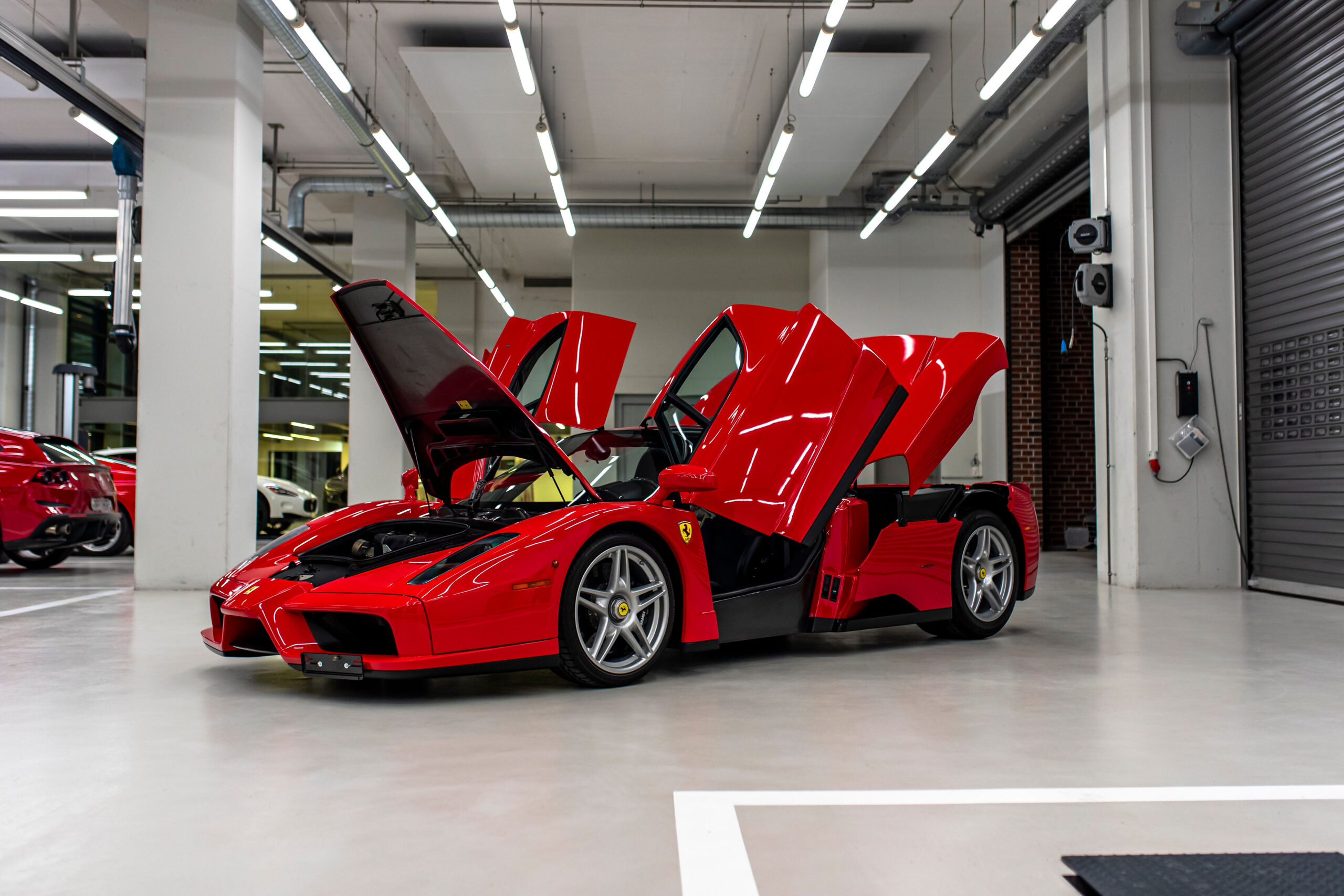 Ferrari Enzo 2004