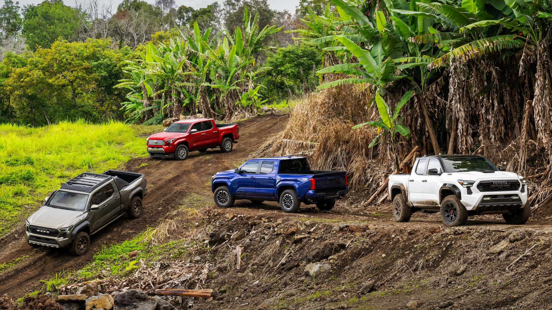 Toyota Tacoma 2024 року