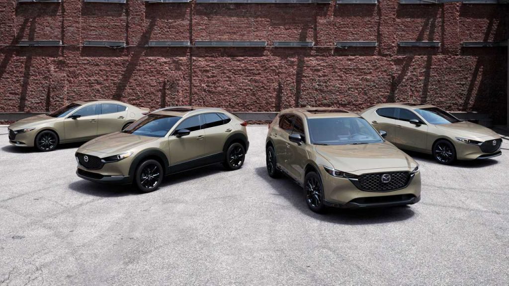 Mazda 3 CX-30 CX-5 Carbon Turbo