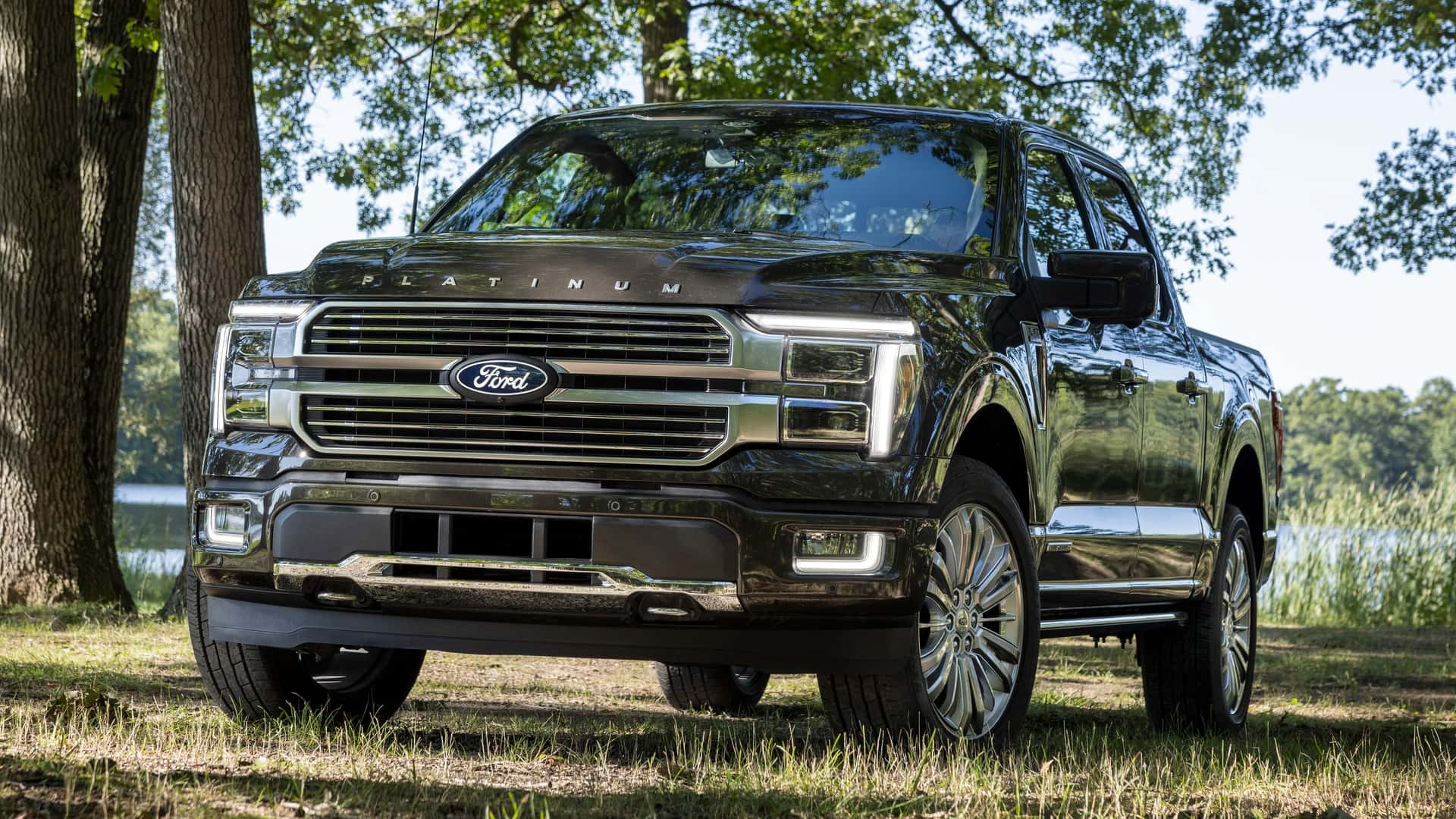 Ford F-150 Platinum