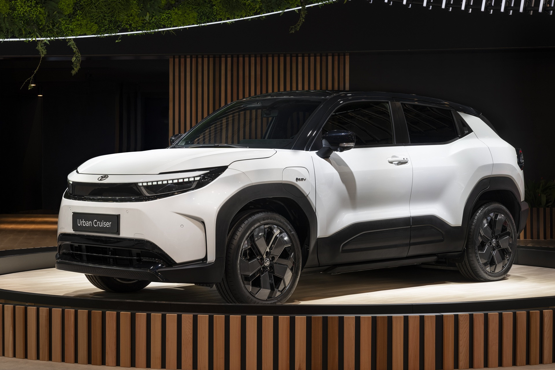 Toyota Urban Cruiser 2025 року