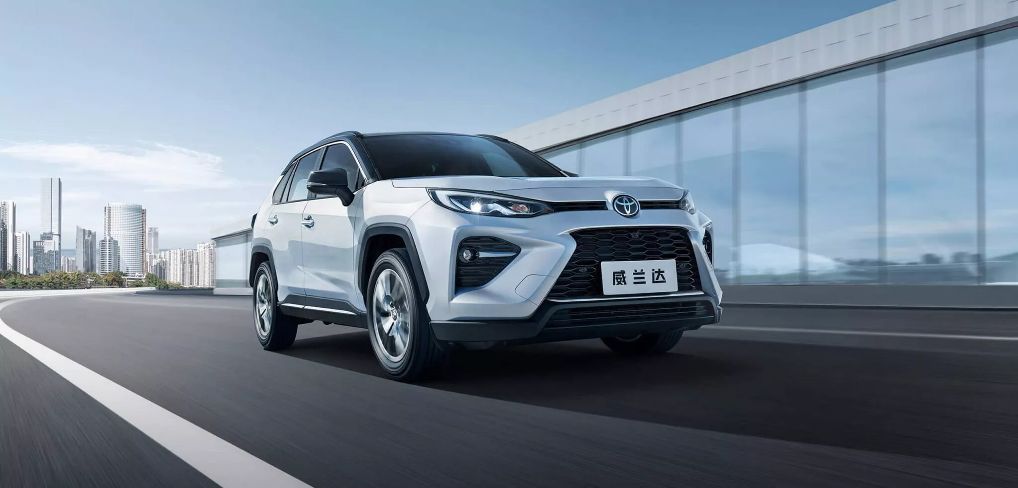 Toyota RAV4 Wildlander