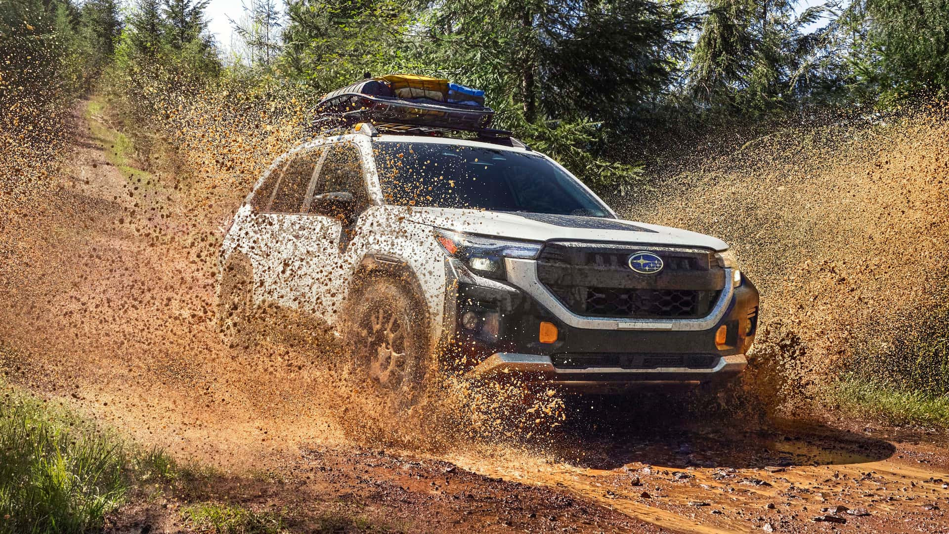 Subaru Forester Wilderness 2026 року