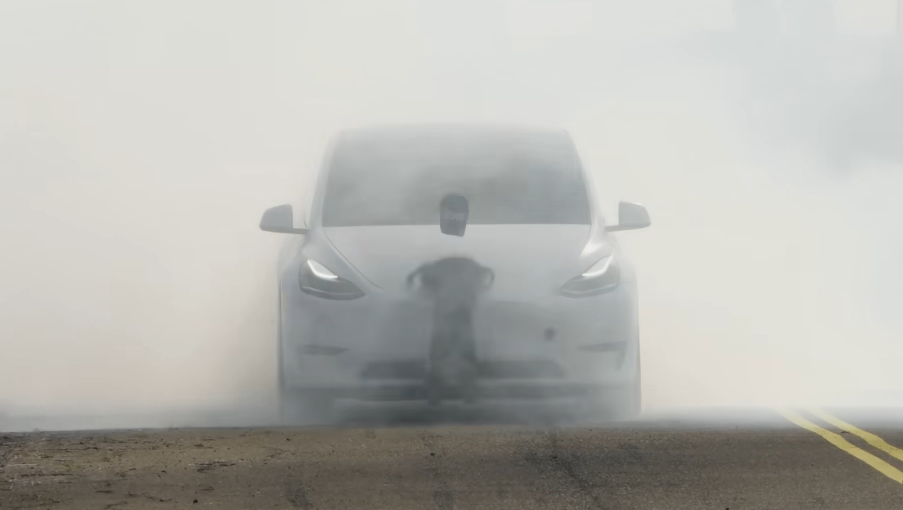 Автопілот Tesla
