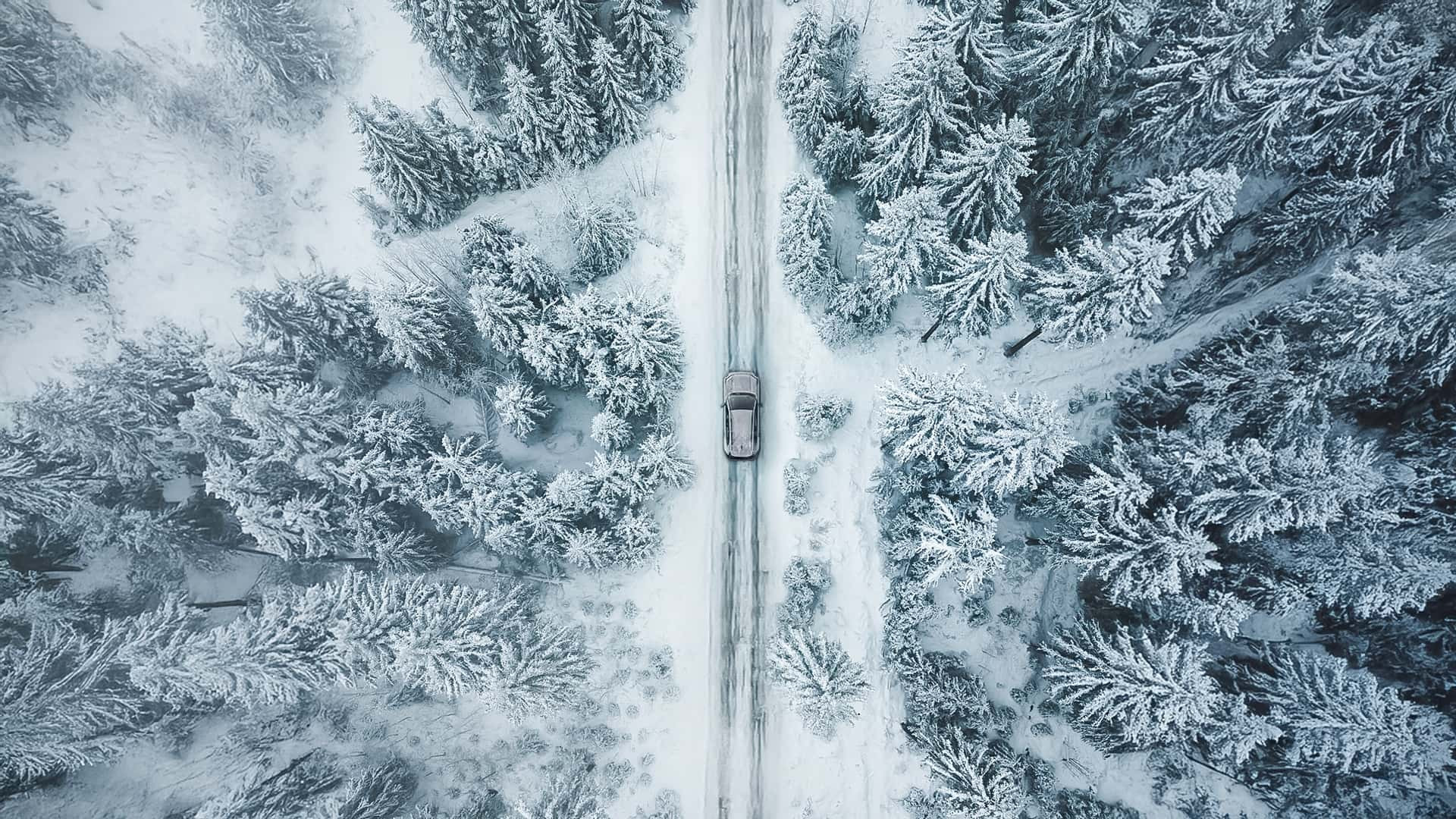 Toyota RAV4 2026 року