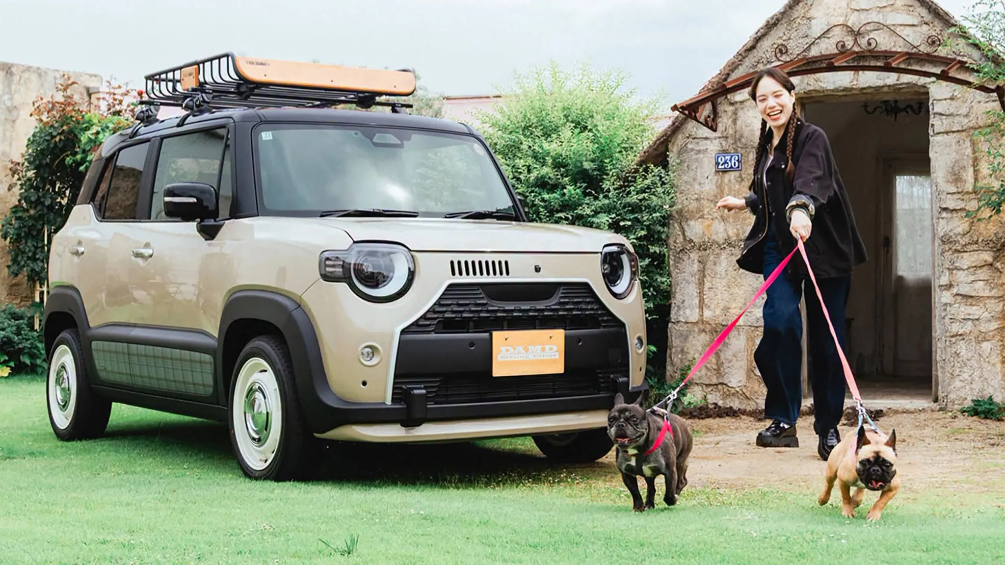 Suzuki XBee Bemore